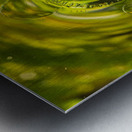 Old crown glass pane reflected warm garden Metal print