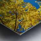 View of the rocky peaks of Smugglers Notch Metal print