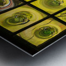 Window of old crown glass panes reflected garden Metal print