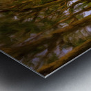 Painting of Tree Tunnel on Kauai Metal print