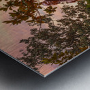 Statue of George Washington at UVA Metal print