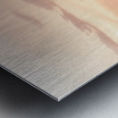 Old Cabell Hall at University of Virginia Metal print