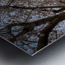 Steel girder bridge carries the bike walking trail over Deckers  Metal print