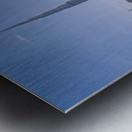 Low rise homes in front of modern apartments of Dubai Downtown d Metal print