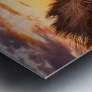 Sunset over Formby Beach through sand dunes Metal print