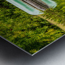 Green canoe on dock reflecting into calm lake or pond in garden Metal print