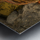 Sugar industry equipment abandoned on Mokolea Point Metal print