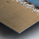 Flock of American white pelicans grouped on sandbank of Mississi Metal print