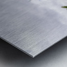 Facade of Cathedral Basilica of Saint Louis in New Orleans LA Metal print