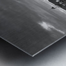 Monochrome view of Cathedral Basilica of Saint Louis Metal print