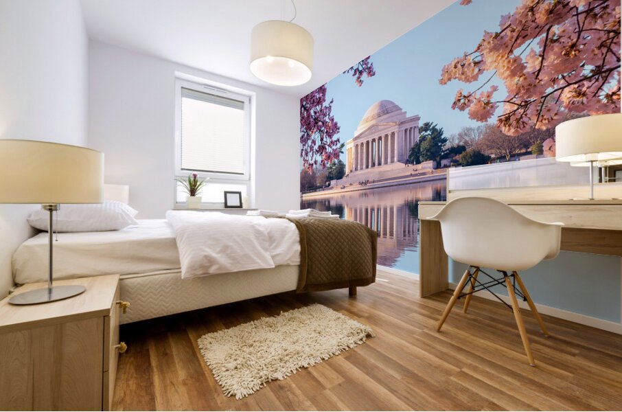 Beautiful early morning Jefferson Memorial with Cherry blossoms Mural print