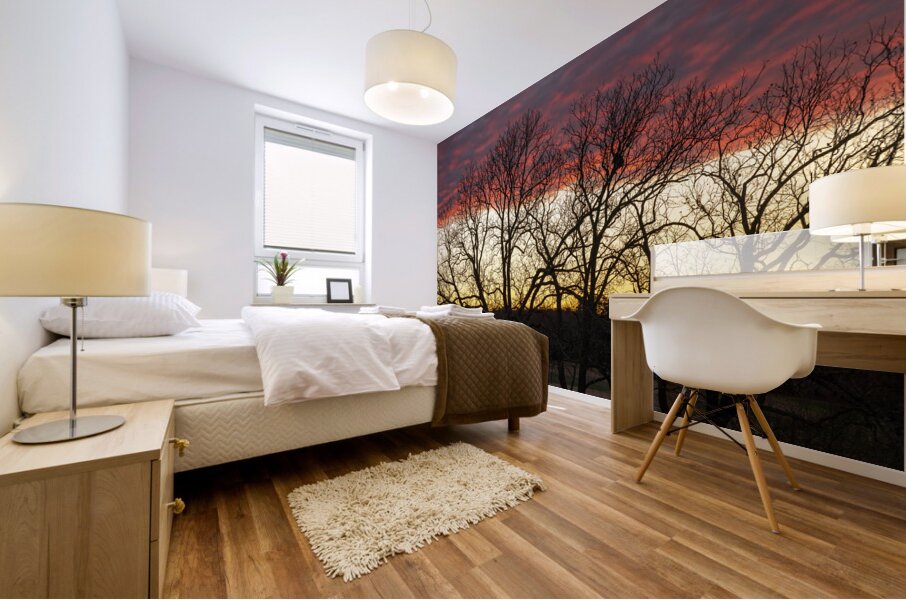 Dramatic sunset over Legacy Hills Park lake with details of tree Mural print