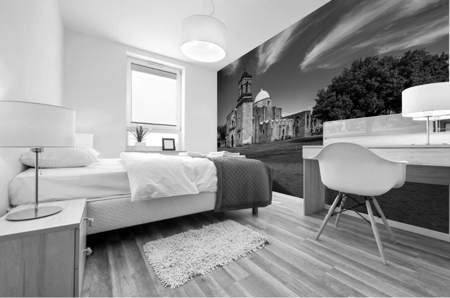 Entrance to the ornate San Jose mission church near San Antonio Mural print