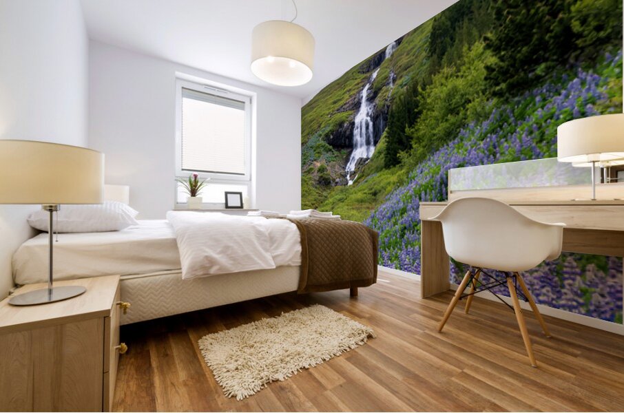 Waterfall in Tunhudalur valley near Isafjordur Iceland with lupi Mural print