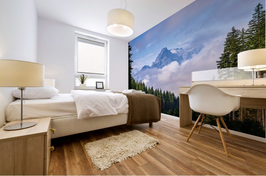 Whitehorse Mountain seen through rolling clouds and mist from Ro Mural print