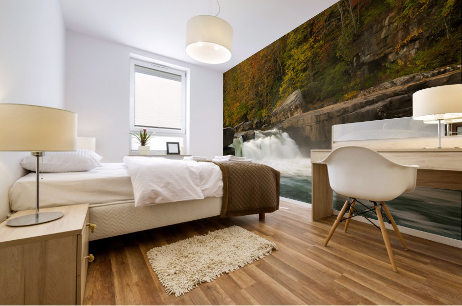 Section of Valley Falls on a misty autumn day Mural print