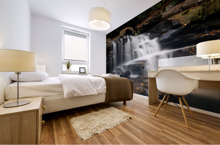 Side view of waterfall on Deckers Creek near Masontown Mural print