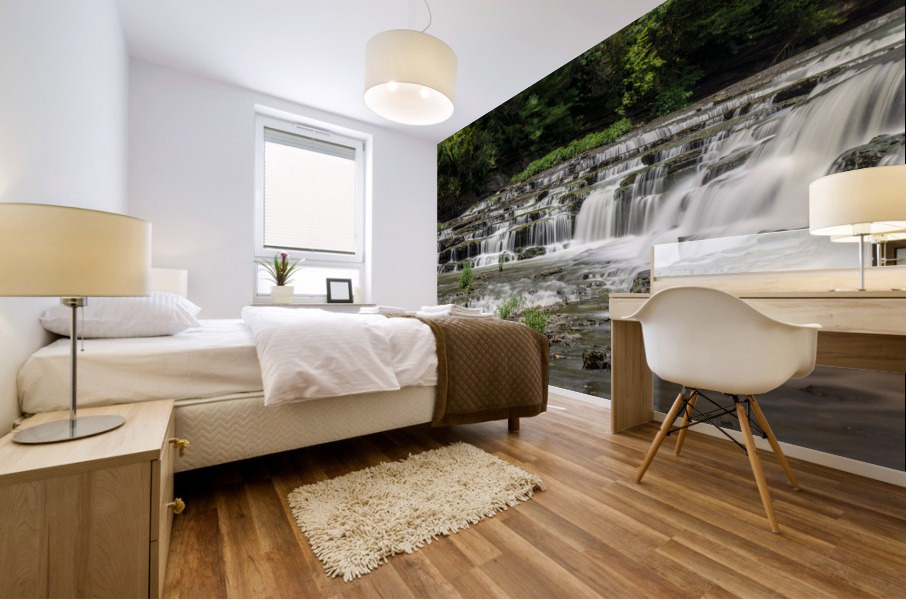 Burgess Falls State Park in Tennessee in summer Mural print