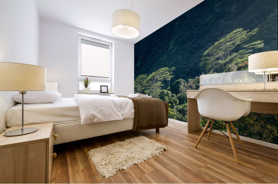 Tall albizia trees against the steep mountain slopes in Oahu Mural print