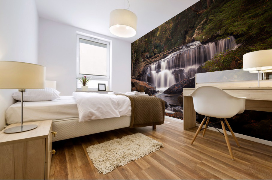 Water cascade on Deckers Creek near Masontown WV Mural print