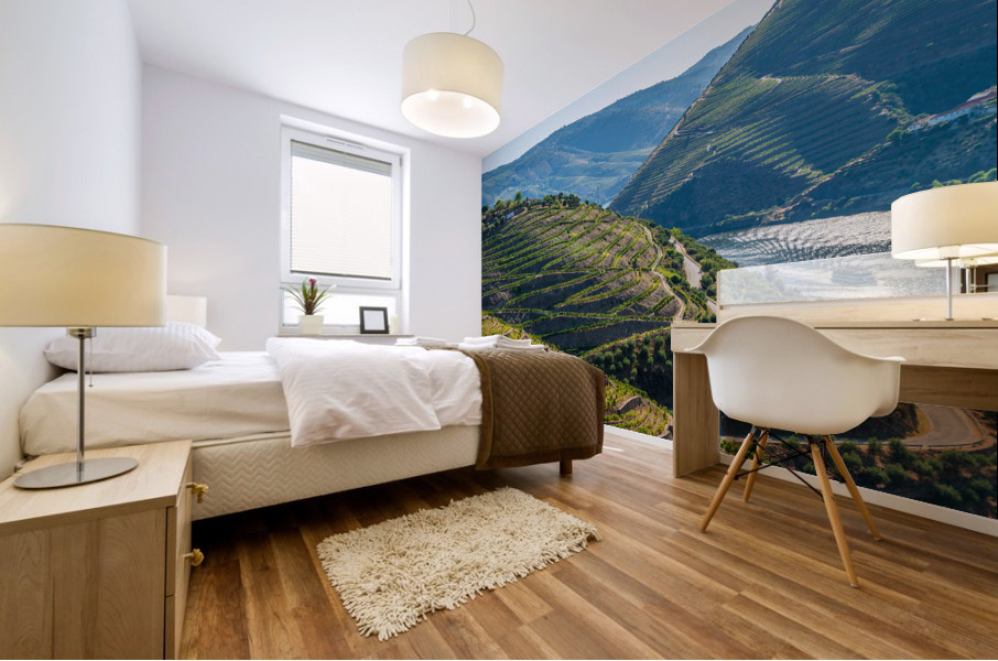 Rows of grape vines in Quinta do Seixo by the Duoro Mural print