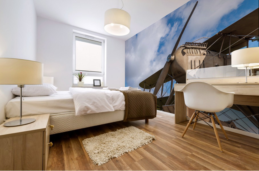 Replica of aircraft used in flight to Brazil Mural print