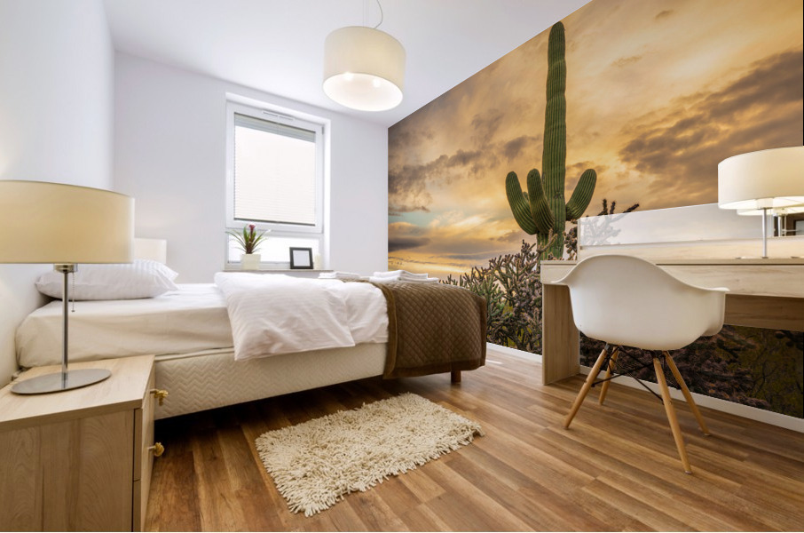 Sunset in Saguaro National Park Tucson Mural print