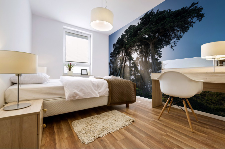 Sunbeams from large pine or fir trees  Mural print