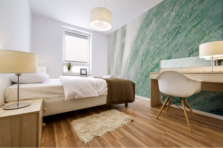 Detail of Canadian Horseshoe Falls at Niagara Mural print