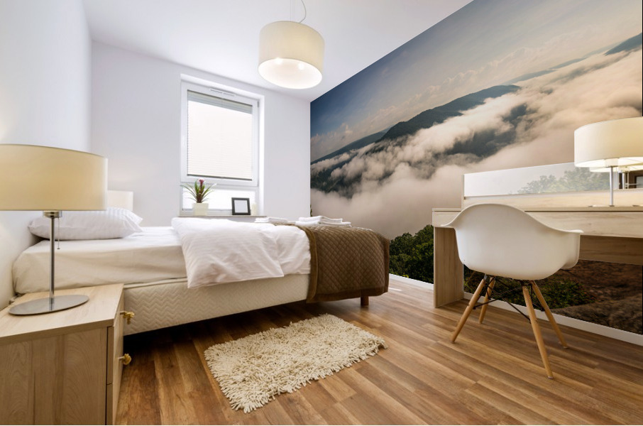 Grand View in New River Gorge Mural print