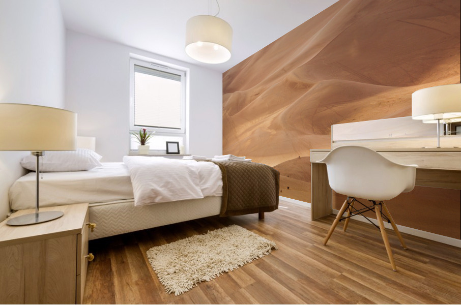 People on Great Sand Dunes NP  Mural print