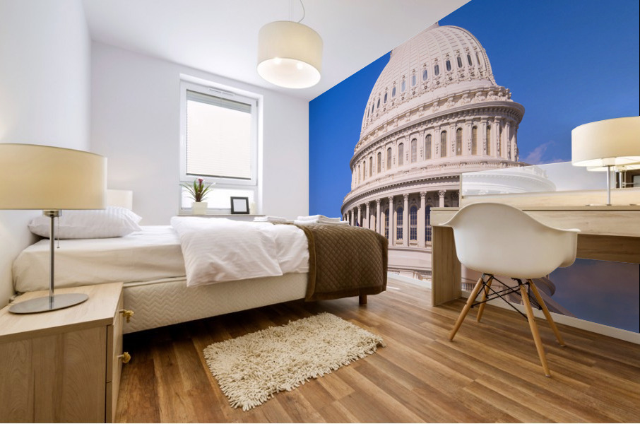 Dome of the Capitol building in Washington DC Mural print