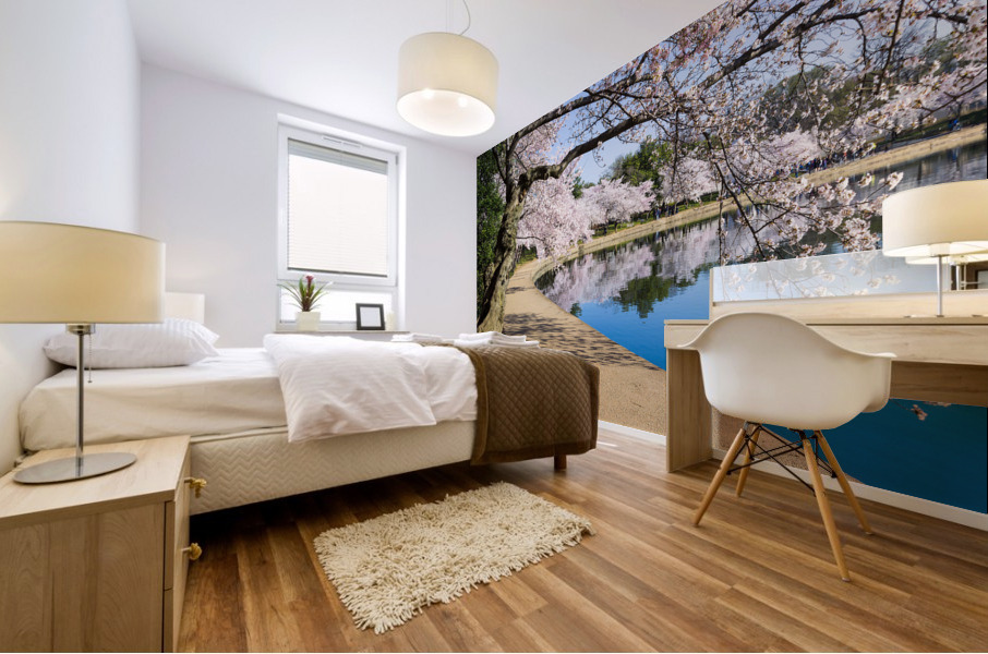 Pathway around the tidal basin during Cherry Blossom Festival Mural print