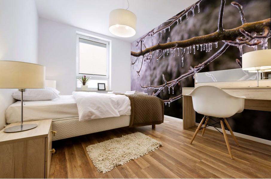 Ice covered branches start to melt to icicles Mural print