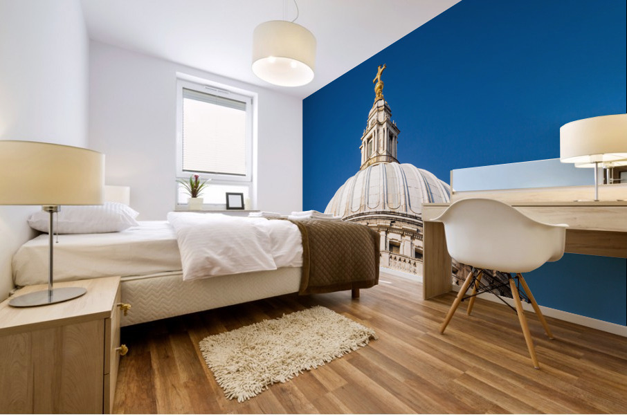 St Pauls Cathedral Church London England Mural print
