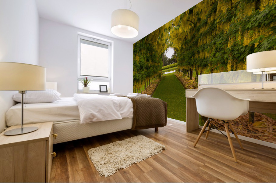 Laburnum Arch in full bloom over grass path Mural print