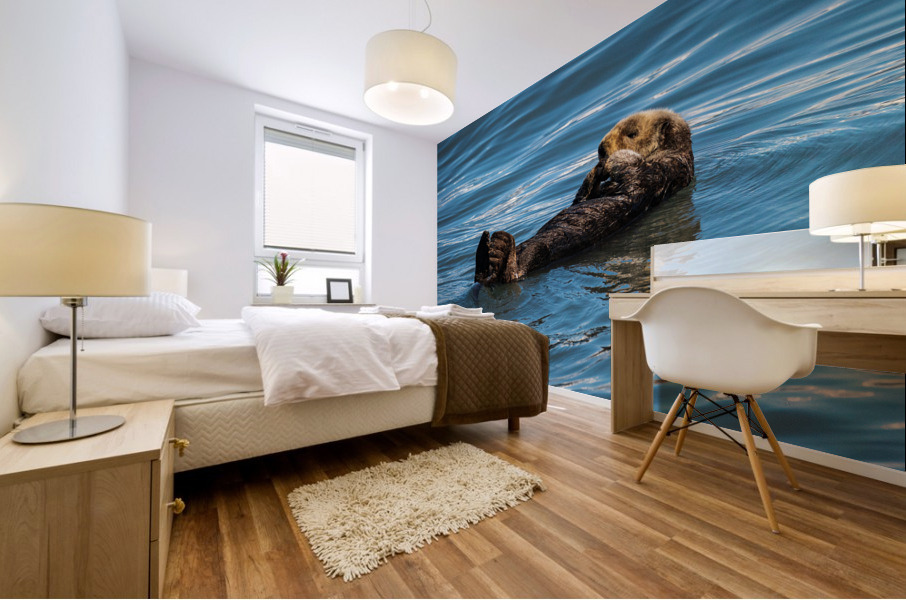 Sea Otter floating in Resurrection Bay near Seward Mural print