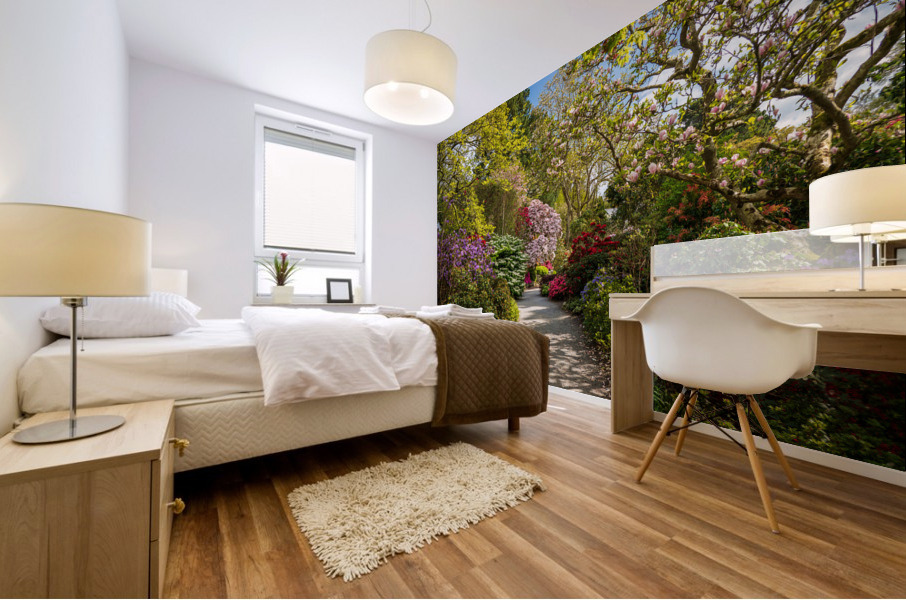 Pathway through Azaleas and Rhododendron trees in spring Mural print