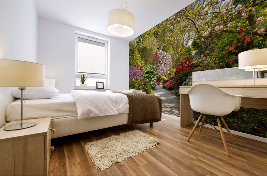 Path leads to Azaleas and Rhododendron trees in spring Mural print