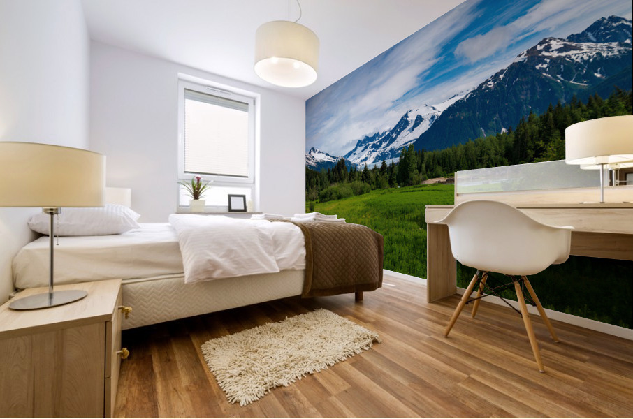 The Mendenhall valley from Brotherhood bridge near Juneau Mural print