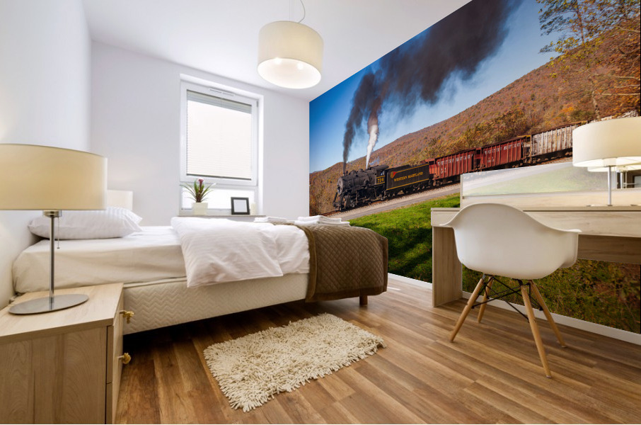 WMRR Steam train powers along railway Mural print