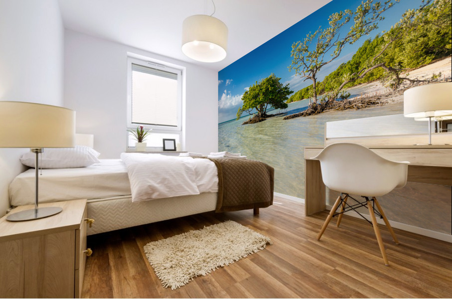 Florida Keys Annes Beach Mural print