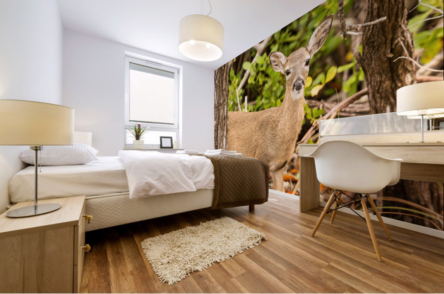 Small Key Deer in woods Florida Keys Mural print