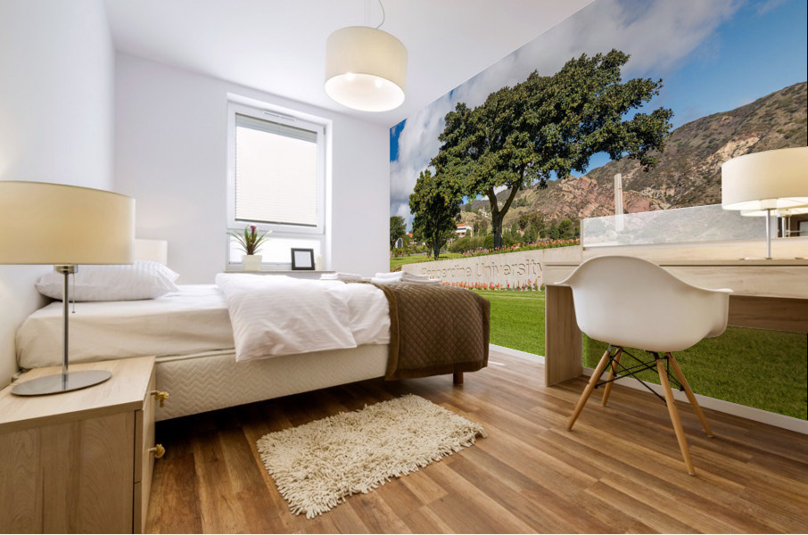 Campus at Pepperdine University Mural print