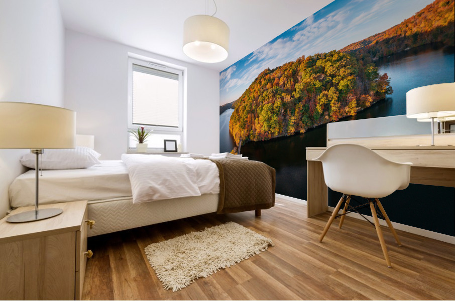 Aerial view of fall leaves in Cheat Lake Park Mural print