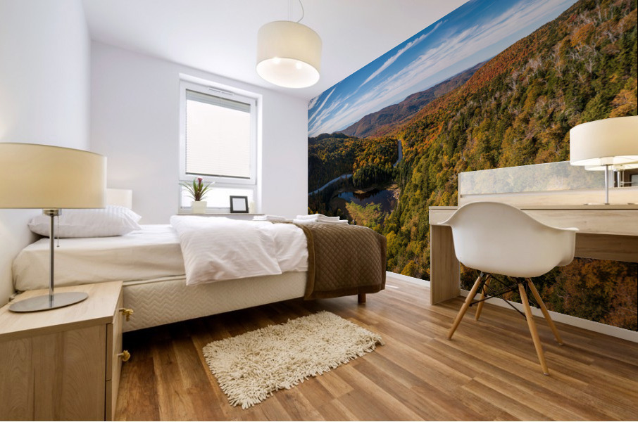 Aerial view of Appalachian Gap Road in Vermont Mural print