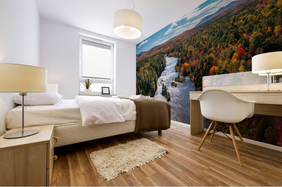 Saranac river flows through multi-colored fall landscape in Adir Mural print