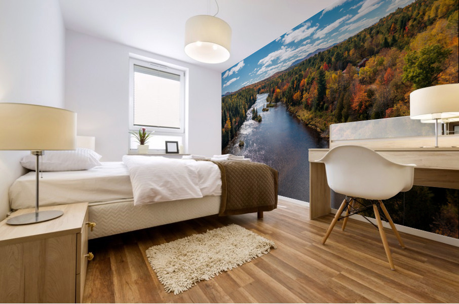 Saranac river flows through multi-colored fall landscape in Adir Mural print