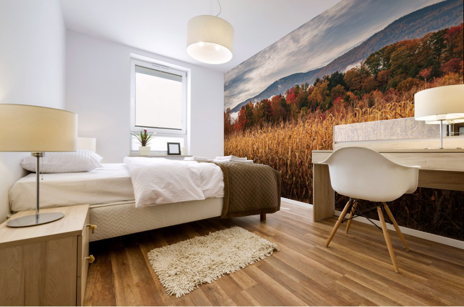 Multi-colored fall landscape in Vermont Mural print