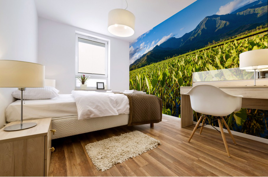 Hanalei Valley in Kauai Mural print